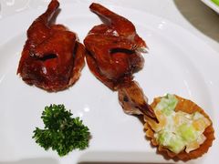 -悦海堂(金融街购物中心店)