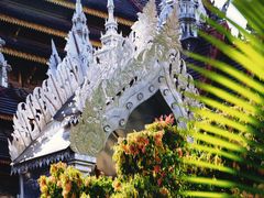 -西双版纳总佛寺