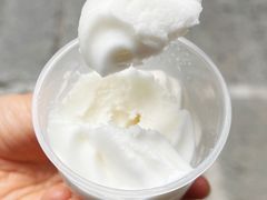 -洪馨椰子