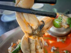 新鲜蛙-二郎田鸡(洛溪食街店)