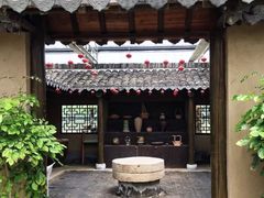 -上海都市菜园