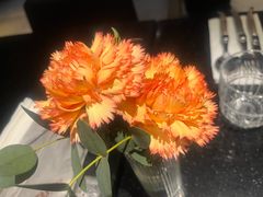 -西堤厚牛排(国瑞店)