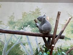 -广州长隆野生动物世界