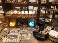 -二酉书店TOYOU BOOKS