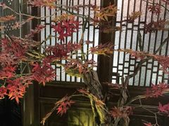 -解家河南菜(金水路店)