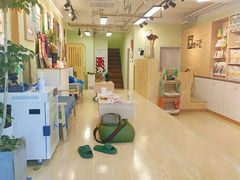 -猫十亿·布偶金渐层·曼基康矮脚猫舍(青年路店)