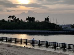 -五缘湾湿地公园