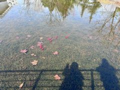 -金银湖国家城市湿地公园