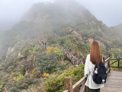 -大岭沟猕猴桃谷风景区