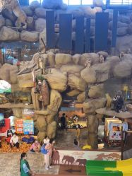 -卡通尼·Safari非洲探索乐园·生日会(金桥国际商业广场店)