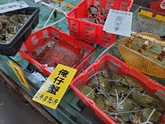 -寻味顺德·南记酒家·传统顺德菜·鱼生(广源路店)