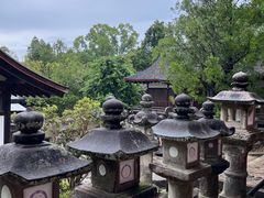 -奈良公园