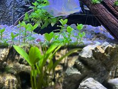 -上海海洋水族馆