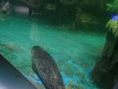 -石家庄海洋公园