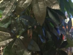 -比格比萨自助(宋家庄店)