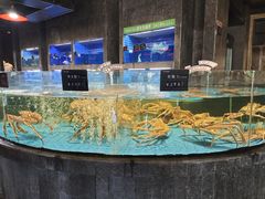 -徐记海鲜(梅溪新天地店)