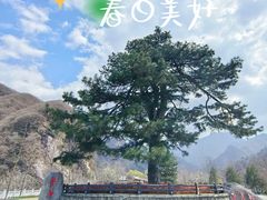 -秦岭终南山世界地质公园翠华山景区
