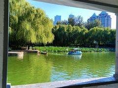 -团结湖公园