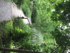 江湾湿地公园-新江湾城公园