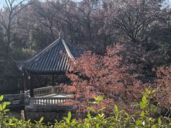 -虞山风景区