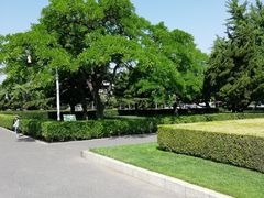 -大连人民广场