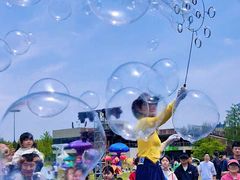 -黄海国家森林公园