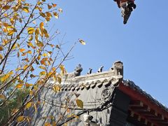 -长安寺