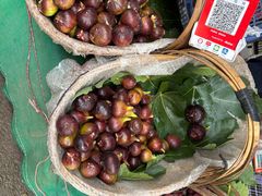 -南坛综合农贸市场