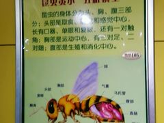 -上海昆虫博物馆