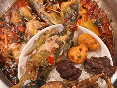 -大锅小灶·渔+村