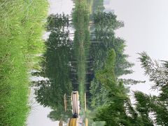 -尚贤河湿地
