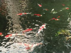 -顺景温泉