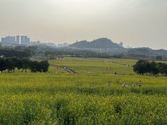 -光明小镇欢乐田园