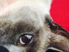 -MIKAKU(万达广场上海宝山店)