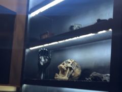 -逃脱反斗城沉浸剧情密室(北京路店)