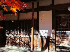 -西芳寺(苔寺)