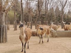 -济南野生动物世界