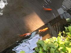 -旺顺阁鱼头泡饼(小红门店)