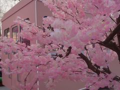 -金茂览秀城