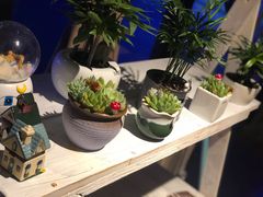 -赢吧Bliss音乐酒吧