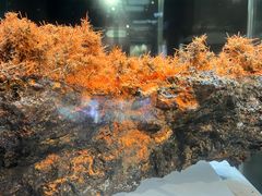 -湖南省地质博物馆