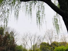 -杭州城北体育公园