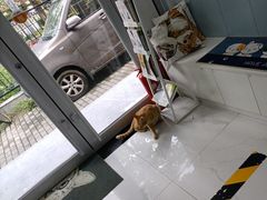 -纳吉亚猫专科动物诊疗中心(蒋宅口分院)