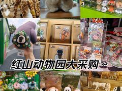 -红山森林动物园