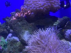 -长春中泰海洋世界
