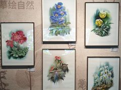 -四川大学博物馆