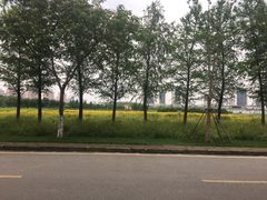 -尚贤河湿地
