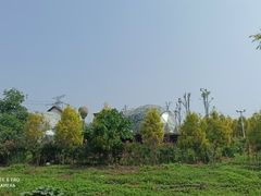 -紫颐香薰山谷景区