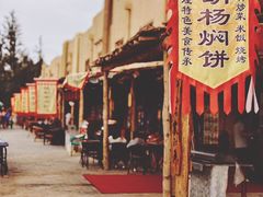 -沙洲胡杨焖饼