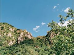 -大岭沟猕猴桃谷风景区